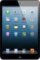 Apple -  16GB iPad Mini with Wi-Fi and Cellular (Black )