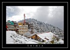 Shimla Sojourn