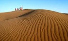 Sands of Rajasthan Delux 6N